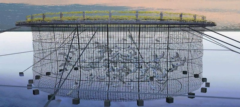 Aquaculture HDPE Cages