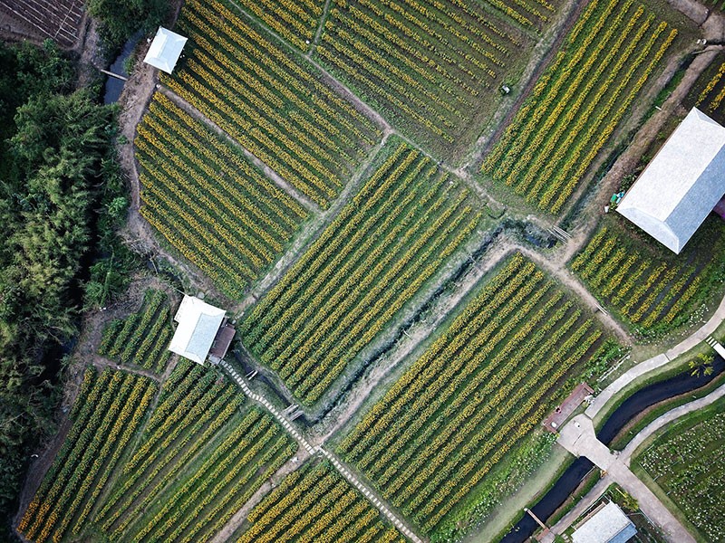 Smart Irrigation System