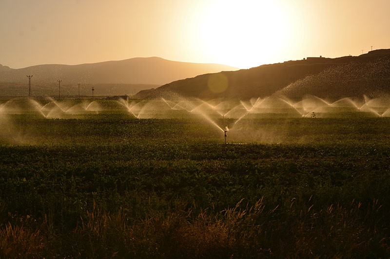 The Importance of Smart Irrigation