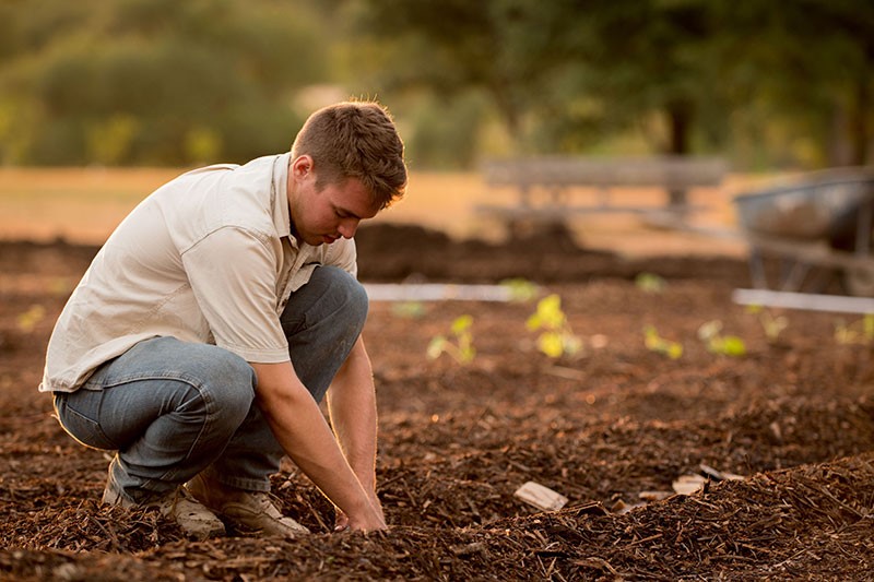 What is Garden Irrigation