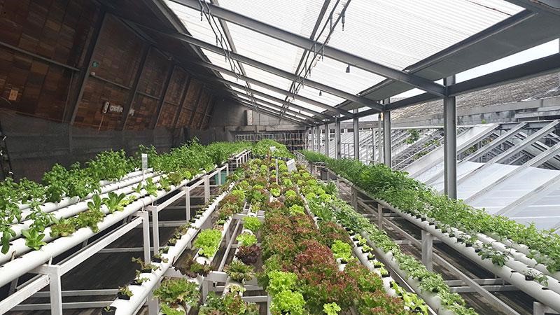 Greenhouse Intelligent Irrigation