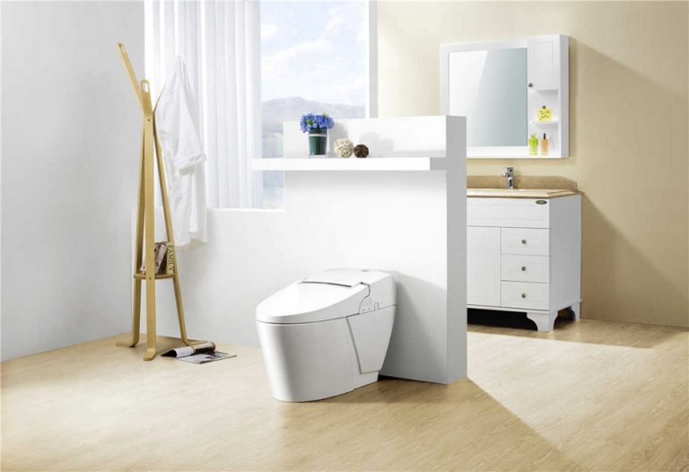 Best Smart Toilet For Your Bathroom