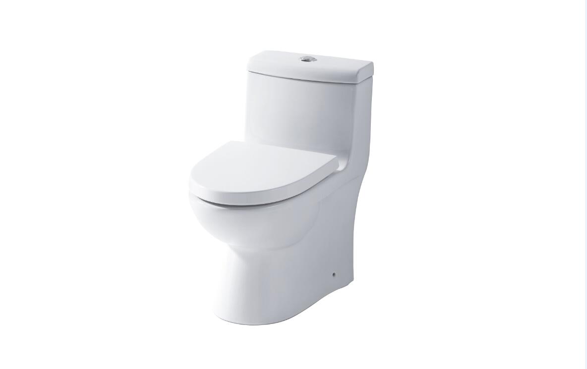Siphonic One-piece Toilet LZ1230M/L 0